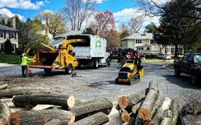 Best Storm Damage Tree Cleanup  in Highland, IN