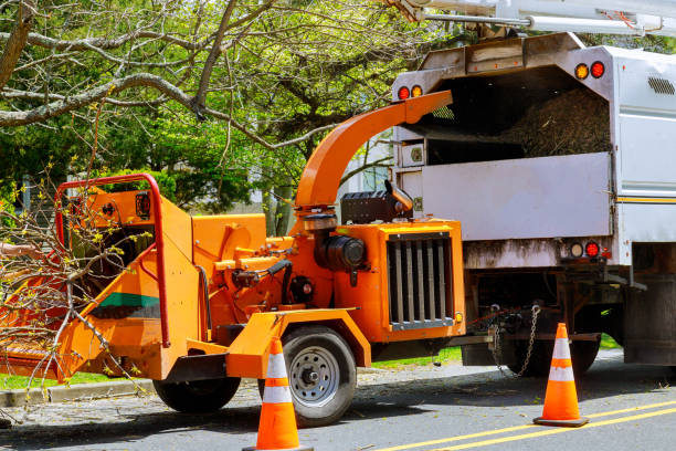 Best Seasonal Cleanup (Spring/Fall)  in Highland, IN